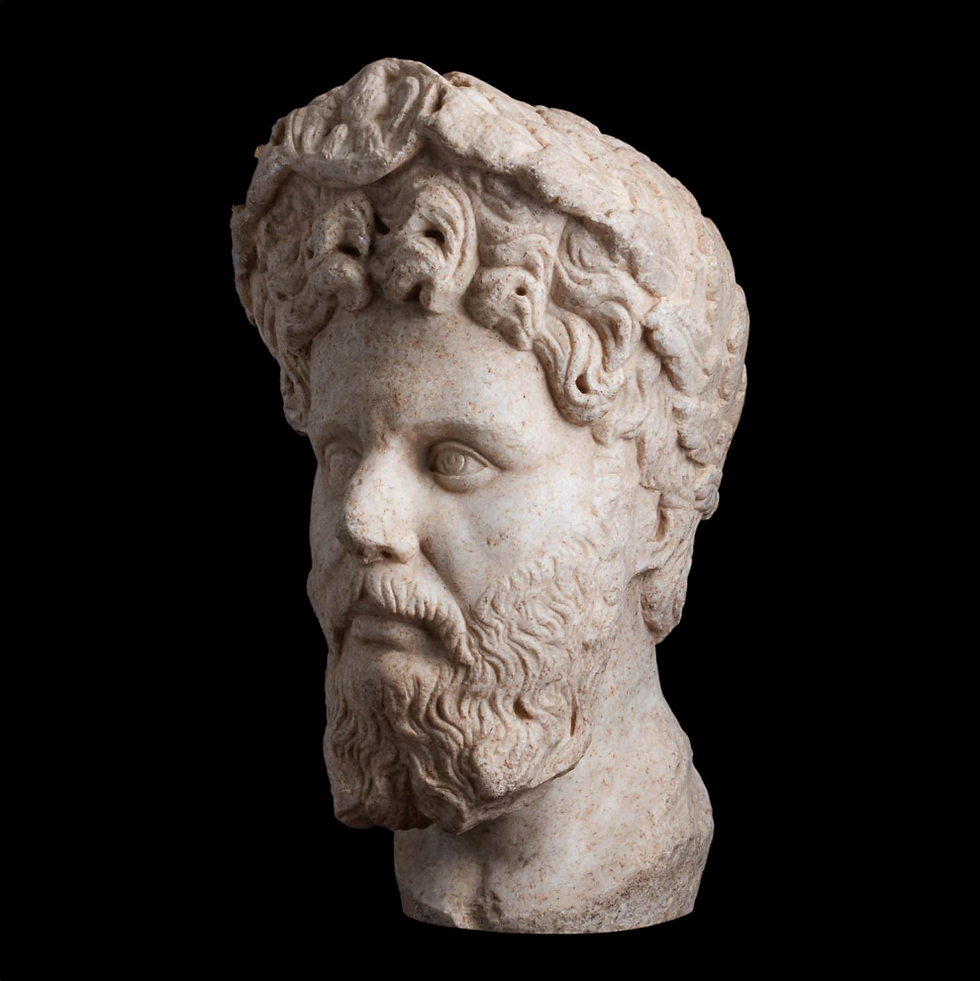 Roman Marble head of Setimius Severus - Apollo Art Auctions