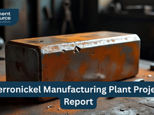 Latest Ferronickel Manufacturing Plant Project Report by Procurement Resource
