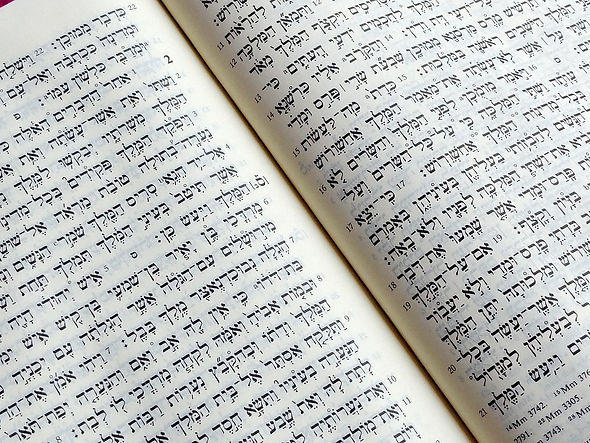The Hebrew Bible.jpeg