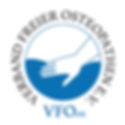 vfo-logo-blau_gross (1).jpg