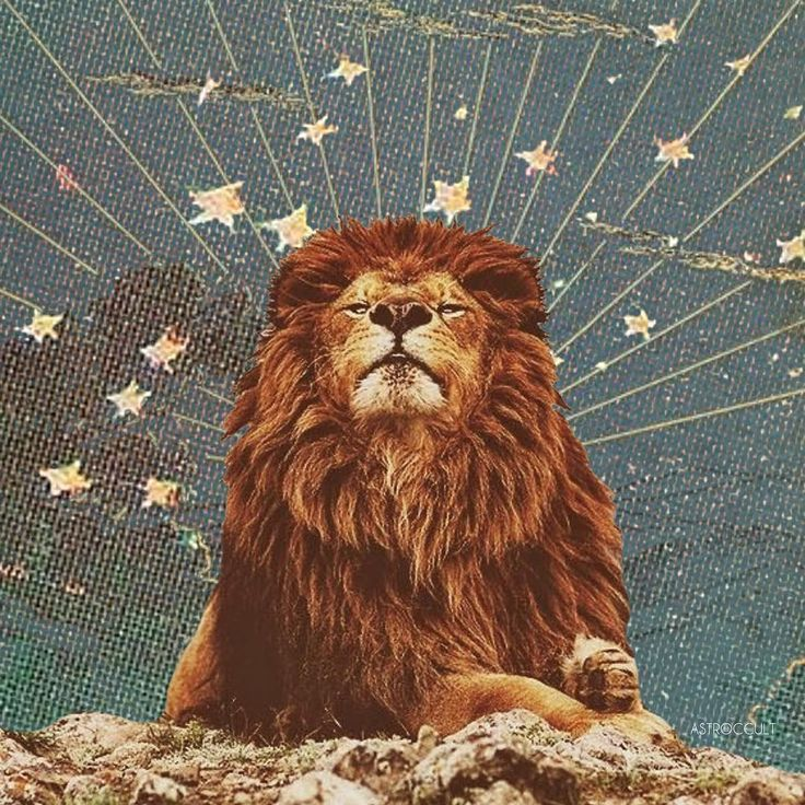 Lions Gate Activation Session Special: Reiki + Solar Light Infusion with Elowynn