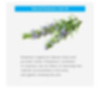 Thumbnail: Rejuvenating foot care treatment