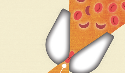 Screenshot 2025-07-10 121817.png