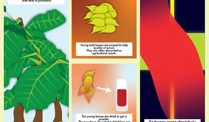 Illustration 2.png