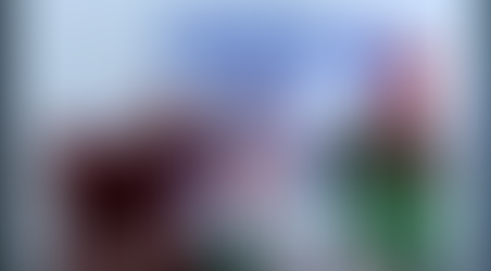 Conservation in motion: The importance of video clips