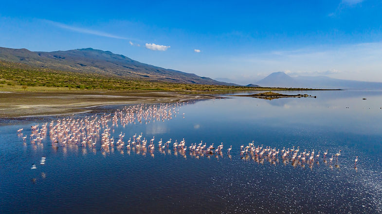 untitledDJI_0173 (1).jpg