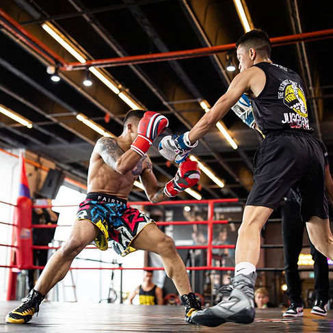 fight image stance 3.jpg
