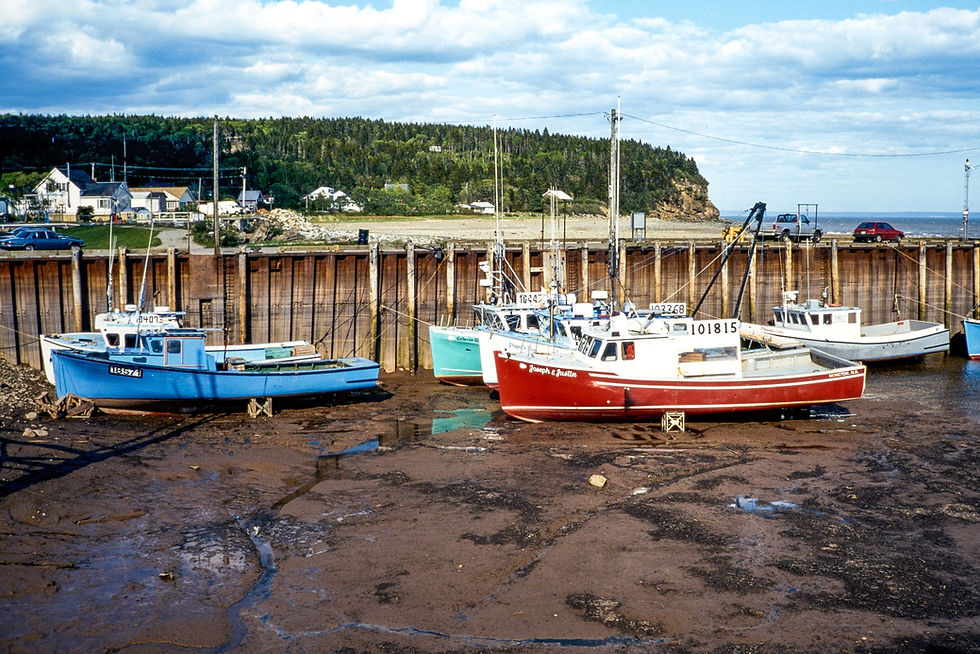 Low Tide