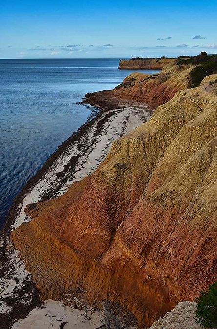 Red Banks