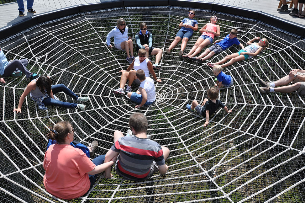 Spinnennetz