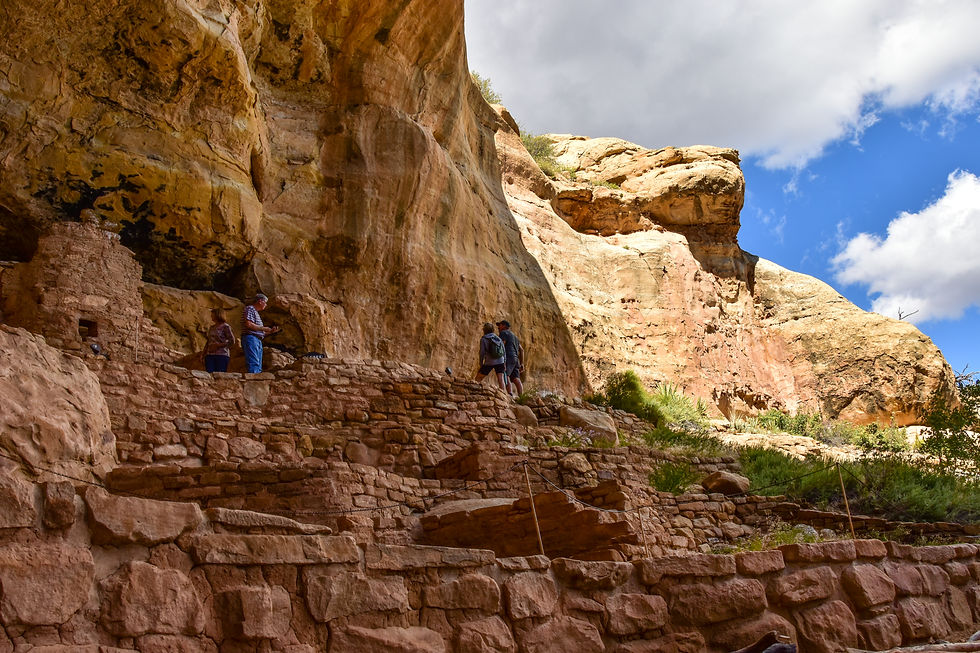 Mesa Verde