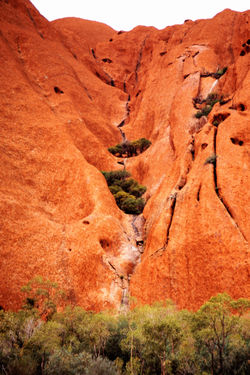 Ayers Rock - Uluru