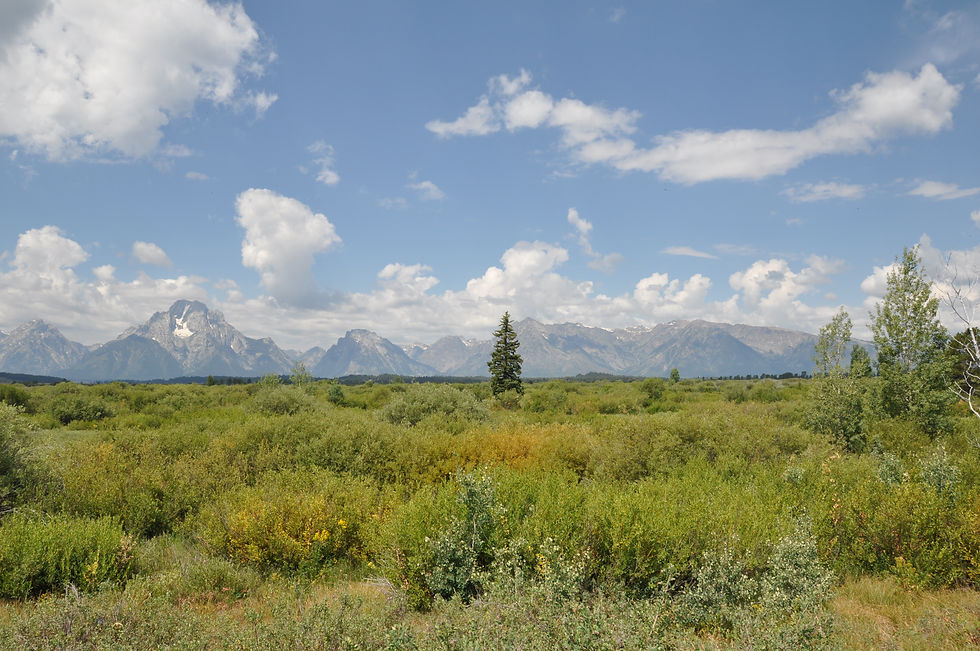Grand Tetons
