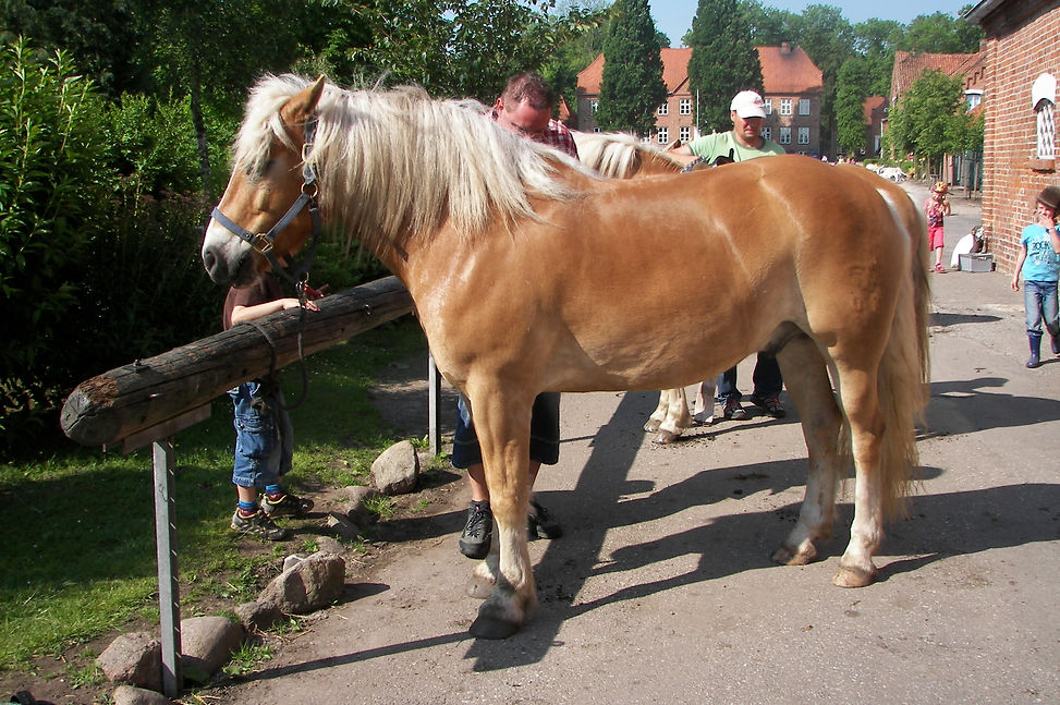 Zurecht gemacht für den großen Tag