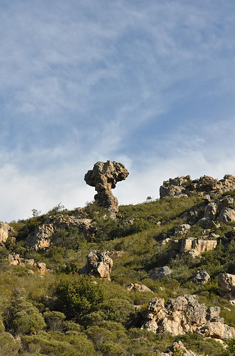 Botlierskop