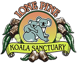 Lone Pine Koala Sanctuary