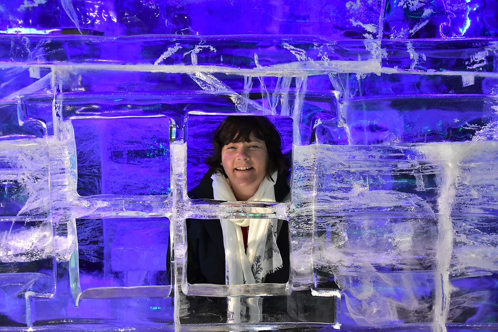 Fairbanks Ice Museum