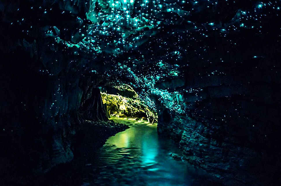 Waitomo Glowworm Cave