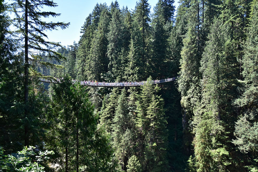 Capilano Suspension Bridge