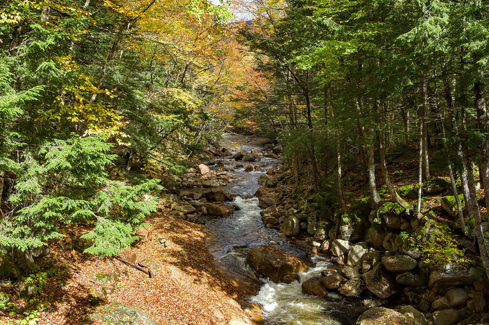 Pemigewasset River