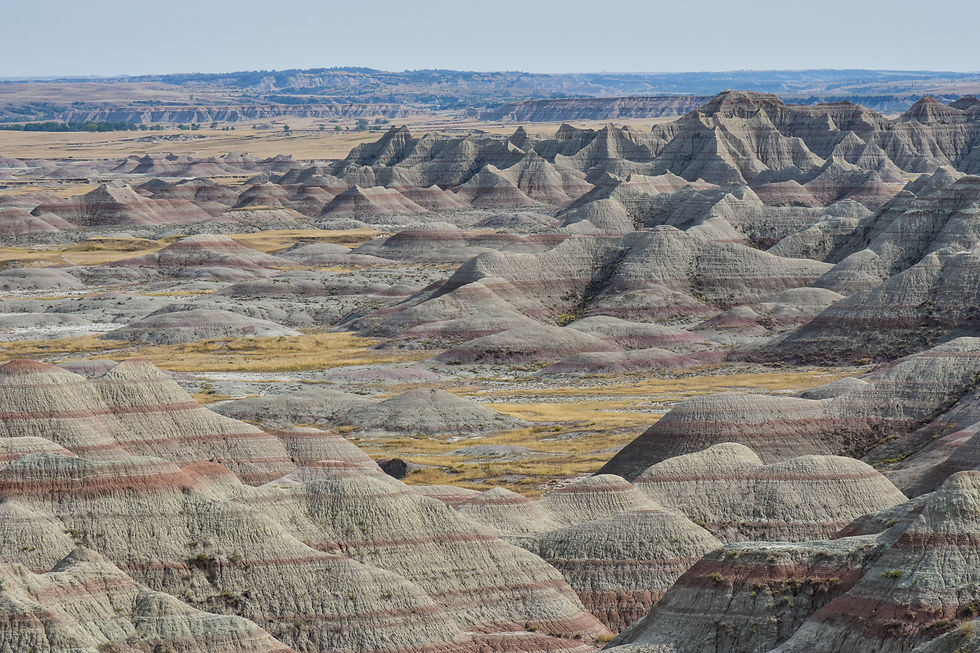 Badlands N.P.
