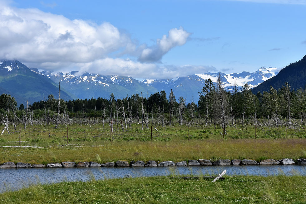 Alaska