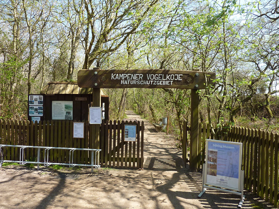 Kampener Vogelkoje