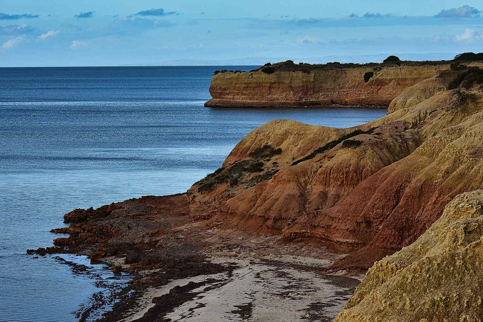 Red Banks