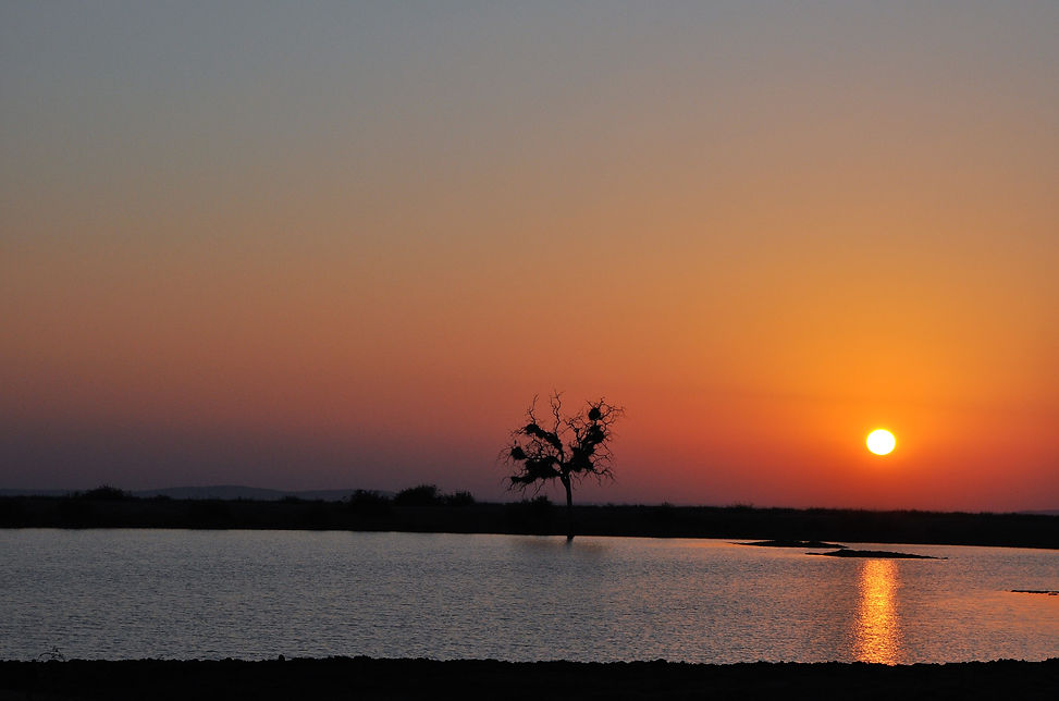 Madikwe Game Reserve
