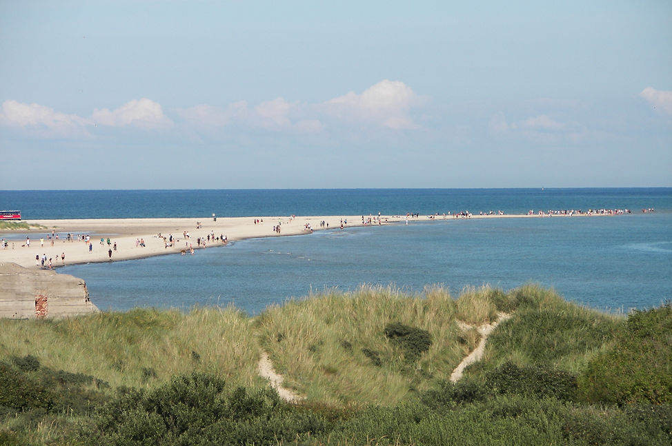 Grenen