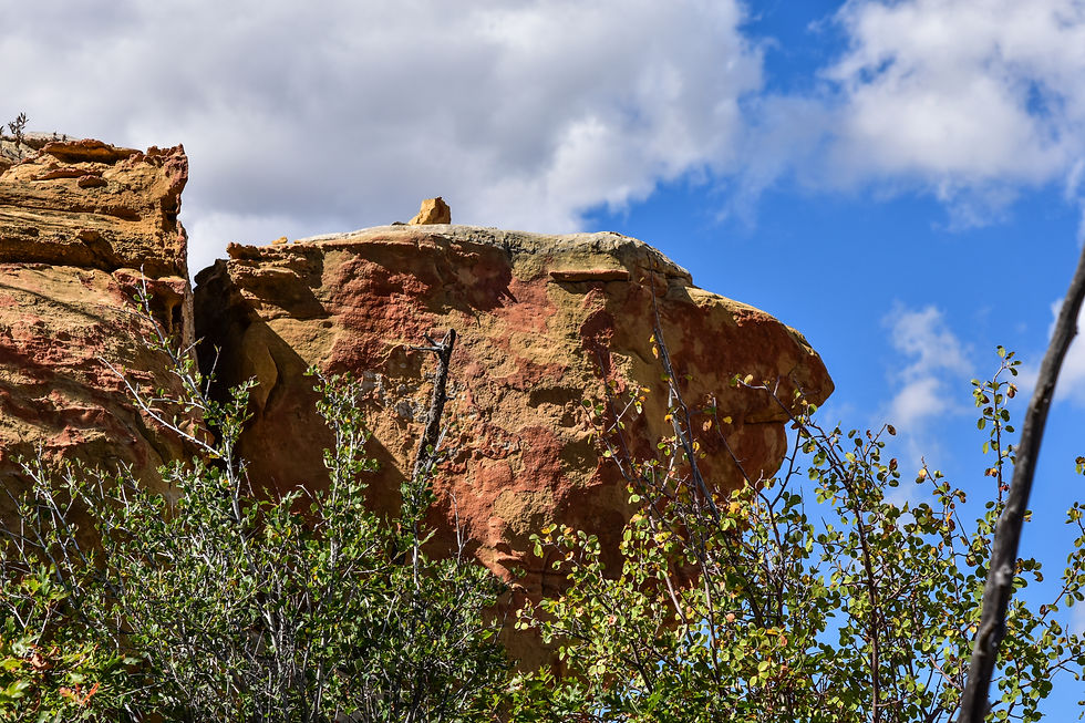 Mesa Verde