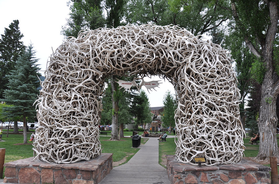 Bogen aus Wapiti Geweihen