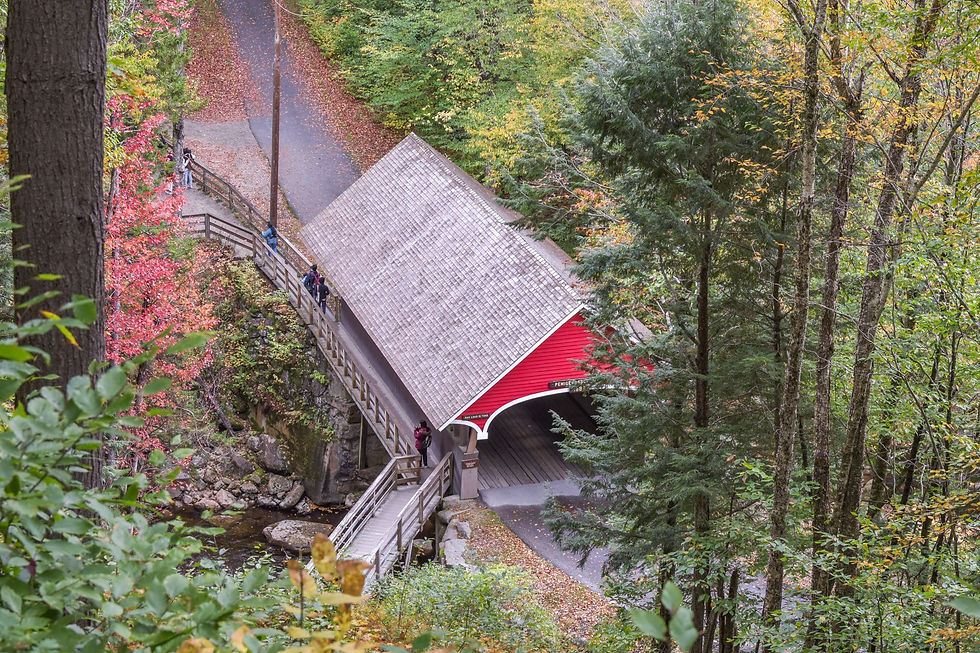 Flume Bridge