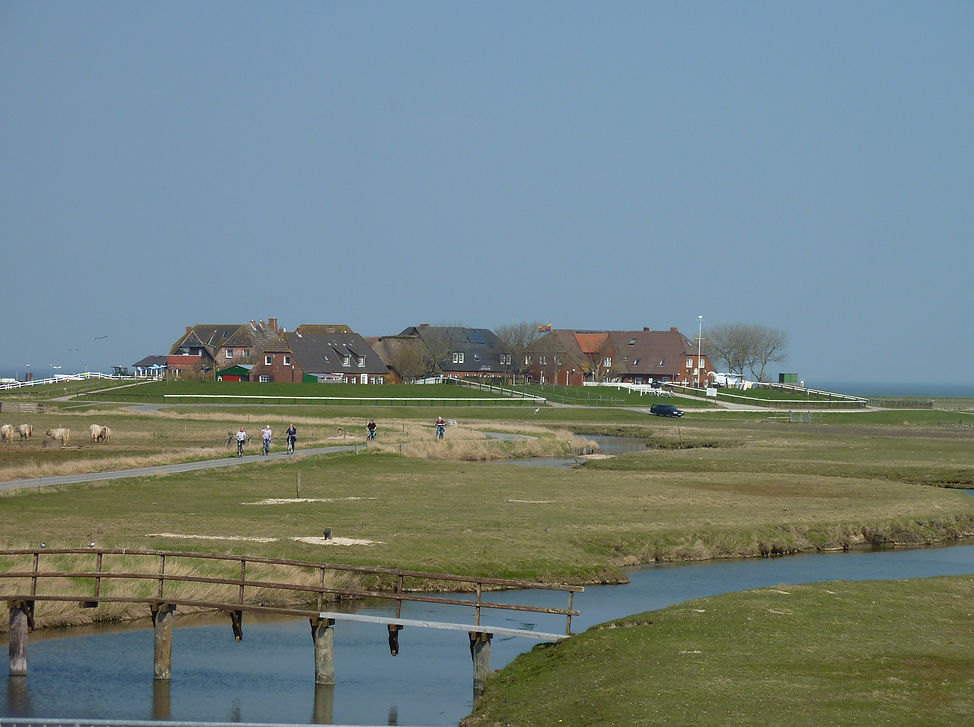Hanswarft
