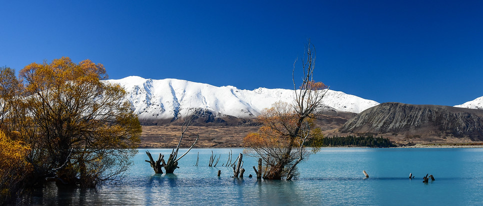 Lake Tekapo