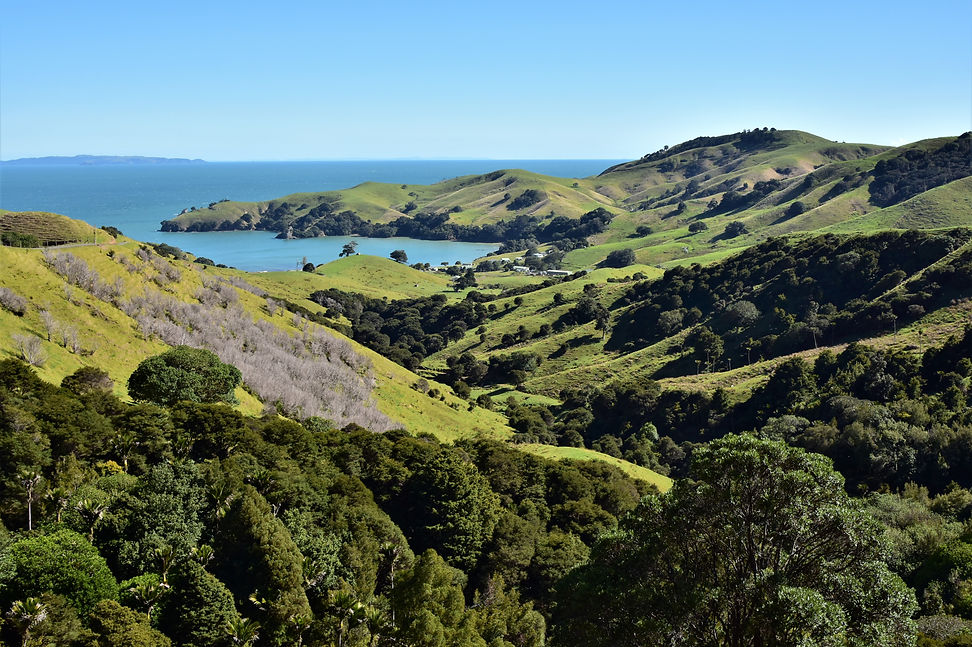 Driving Creek Railway & Potteries