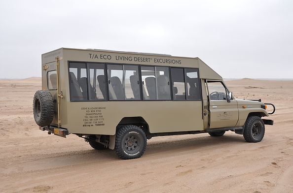 Batis Birding Safaris