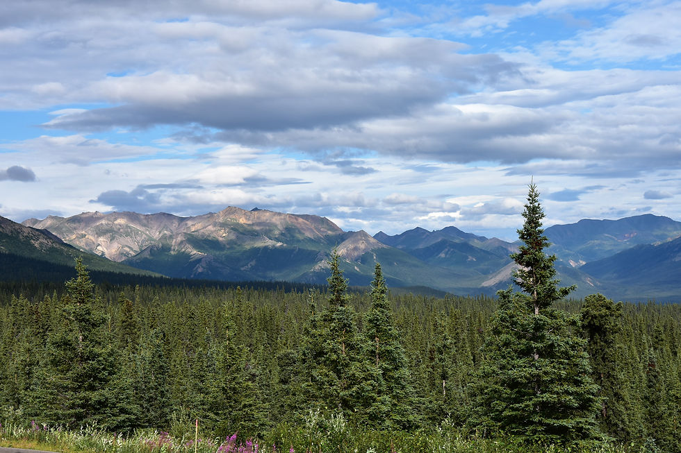 Denali National Park