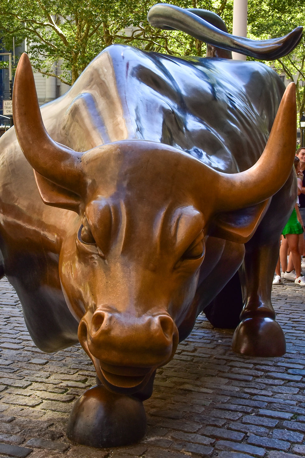 Charging Bull