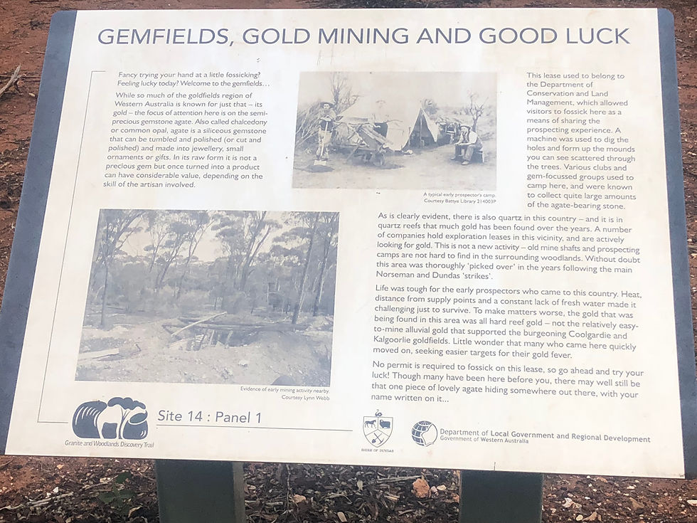 Norseman Free Camp WA, hooray for the end of the Nullarbor!