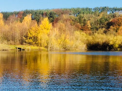 Autumn at Osprey Lake Farnley