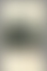 كتاب حماسهْ هزاره اثر غرجستانى