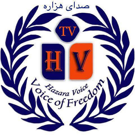 logohvtv.jpeg