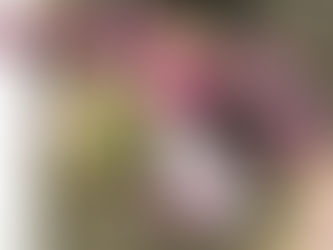 生活の木 阪急限定エッセンシャルオイル「すみれの頃」が感動的に素晴らしい香り