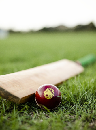 Cricket Match