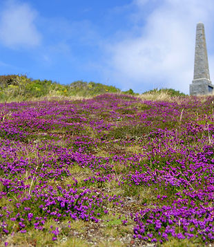 Monument and Heather