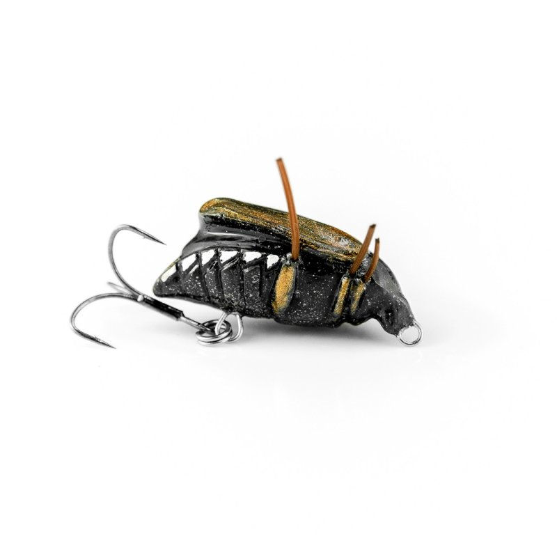 Thumbnail: Imago Maybug (Pack of 5)