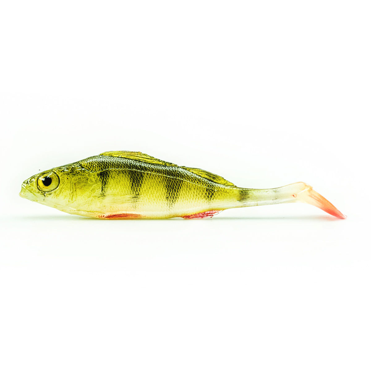 Angry Perch (Pack of 10)