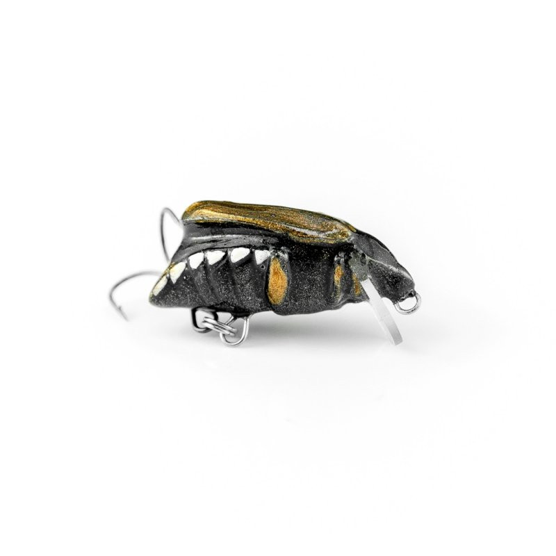 Thumbnail: Imago Maybug (Pack of 5)