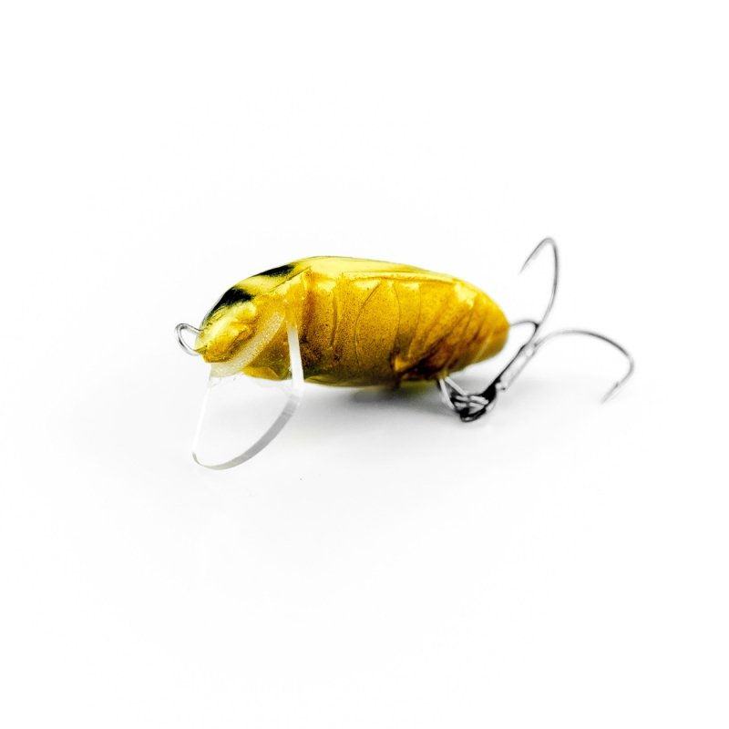 Thumbnail: Imago Beetle (Pack of 5)